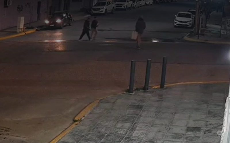 Horror en el Centro: Les fracturaron el cráneo con bloques de cemento para robarles