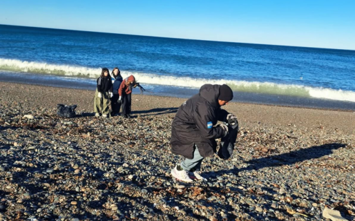 Realizaron una limpieza de playas por el Día de los Océanos