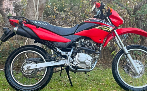 Compró una moto para trabajar y se la robaron a la madrugada
