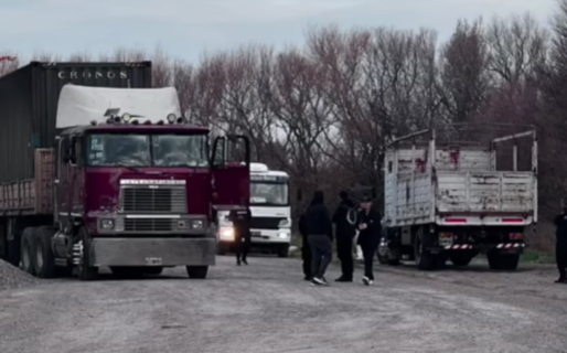 Un camionero fue condenado por intentar sobornar a un policía durante un control policial en Chubut