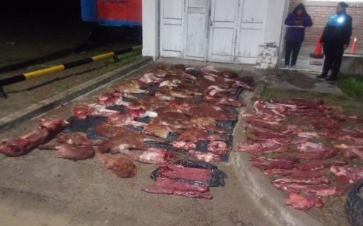 Cuatro imputados tras ser descubiertos con un cargamento de guanacos y un puma faenado
