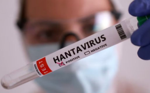 La OMS confirmó el fin del brote de hantavirus del crucero que partió de la Argentina: dejó tres muertos y 13 contagios