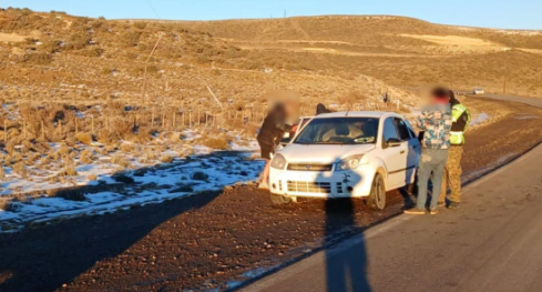 Secuestraron carne de guanaco y ñandú transportada sin autorización en la Ruta 26