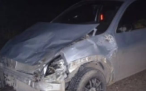 Un ternero cayó de un camión en una ruta de Chubut y provocó un insólito accidente
