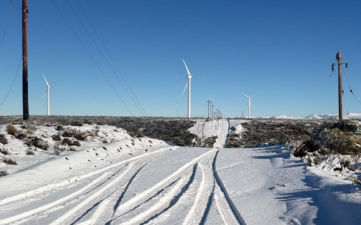 Los molinos amanecieron cubiertos de nieve tras una madrugada bajo cero