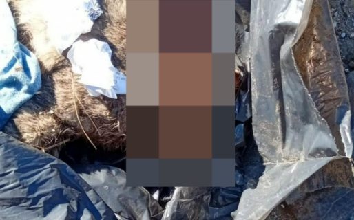 Conmoción por una denuncia de crueldad animal: aseguran que un gato fue asesinado y apuntan contra un vecino