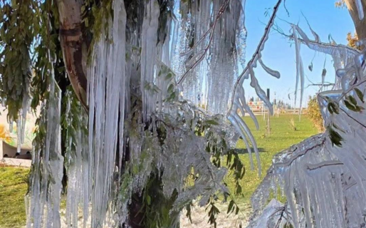 Una ola de frío llevará la temperatura hasta los -4°C en Comodoro