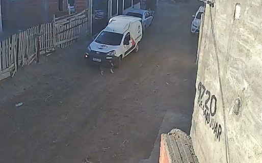 Un conductor atropelló y mató a una perrita de 16 años