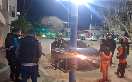 Entregó su carnet en un control de rutina, notaron que era falso y se lo secuestraron