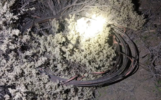 Cortaron 32 metros de cable de cobre para robarlos, pero la Policía frustró el hecho