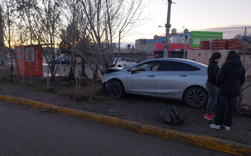 Perdió el control de su vehículo y terminó chocando contra un árbol