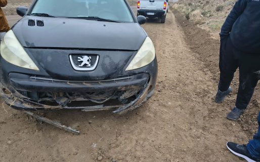 Despistó un automóvil en el camino Roque González