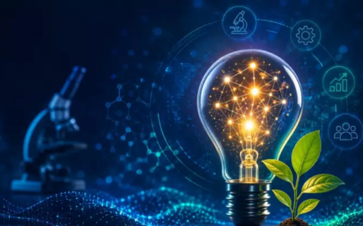 Chubut busca proyectos científicos con potencial de innovación