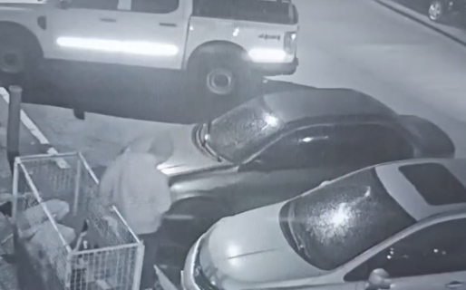 Quedaron grabados: así abrieron y saquearon varios autos en plena madrugada
