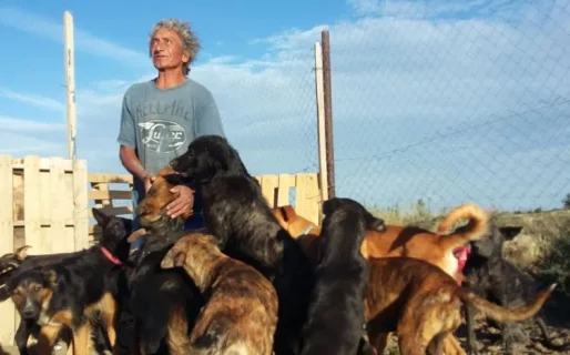 La historia de Oscar conmueve a Comodoro: cuida a 30 perros y necesita ayuda para pasar el invierno
