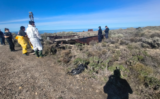 Retiraron los restos de otro perro empetrolado en la zona donde encontraron a Nico