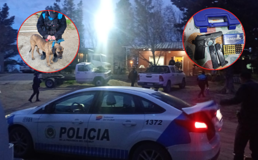 En un allanamiento por amenazas entre vecinos pudieron secuestrar un arma y rescataron a un perro maltratado