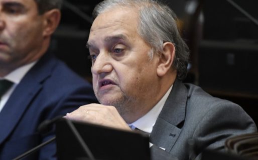 Linares celebró que no se aprobaran los cambios en la Ley de Manejo del Fuego