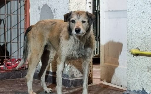 Preocupación por Nico: sigue internado, bajó de peso y presenta dificultades para respirar