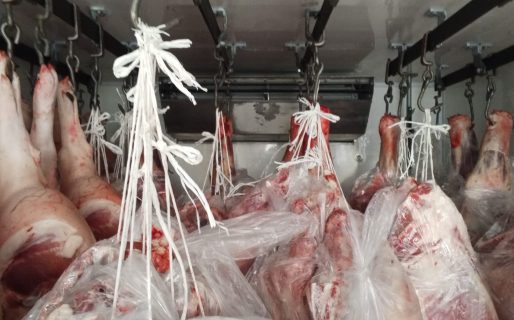 Gómez detalló el destino de los caballos secuestrados en Laprida y advirtió sobre un amplio decomiso de carne
