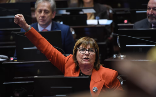 Bullrich adelantó que el Senado retomará el debate por la reforma electoral: «Suspender o eliminar las PASO es parecido»