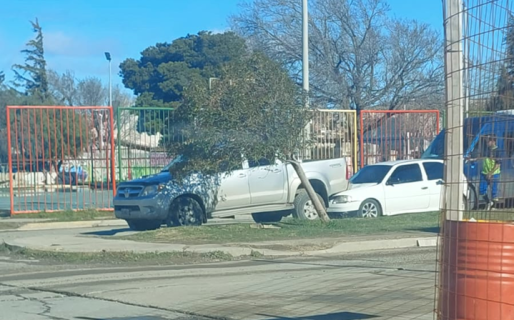 <strong>No alcanzó a frenar a tiempo y terminó abajo de una Hilux</strong>