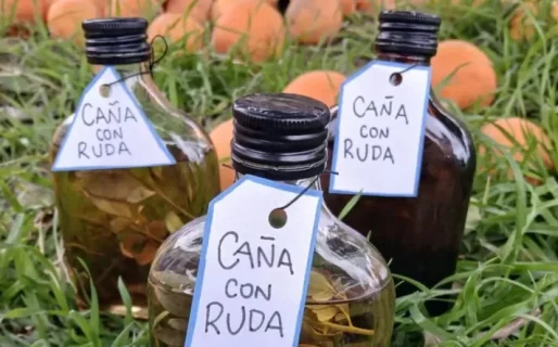 Caña con ruda: por qué y para qué se toma el 1° de agosto