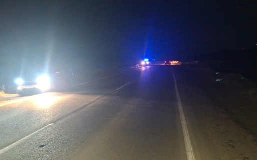 Circulaba por la Ruta 39 cuando un potrillo cruzó y produjo una colisión