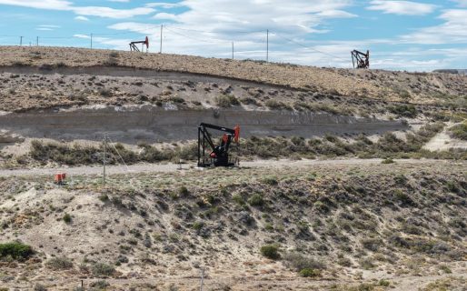 Chubut, entre las tres provincias argentinas que tienen más exportaciones per cápita que EEUU y otras economías desarrollada