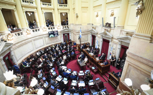 Hay quorum: empezó el debate por la Ley de propiedad privada en el Senado
