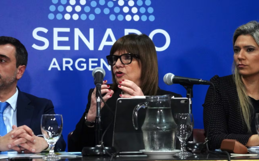 Bullrich presentó los cambios en el proyecto de la Ley de Tierras: “Los estados extranjeros no pueden comprar un gramo”