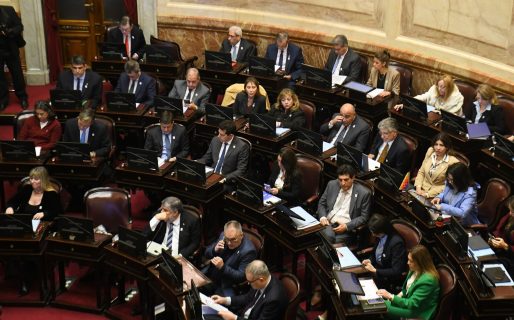 Hay quorum: empezó el debate por la Ley de propiedad privada en el Senado
