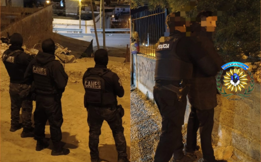 Vio a un intruso entrar por la ventana de su casa, lo persiguió y logró reducirlo