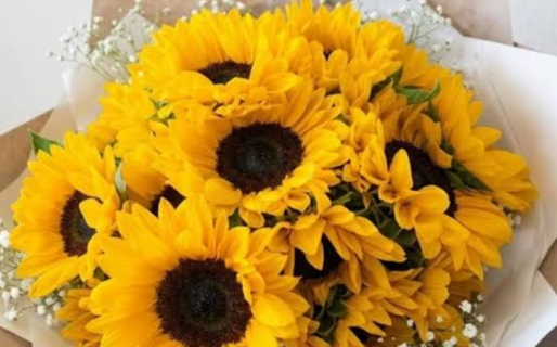 Flores amarillas y primavera: por qué se regalan cada 21 de septiembre