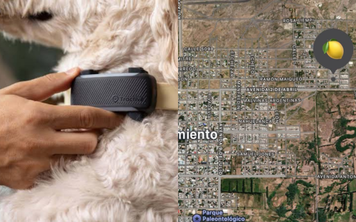Le robaron el collar con GPS a su perro y la aplicación marcó la ubicación del ladrón
