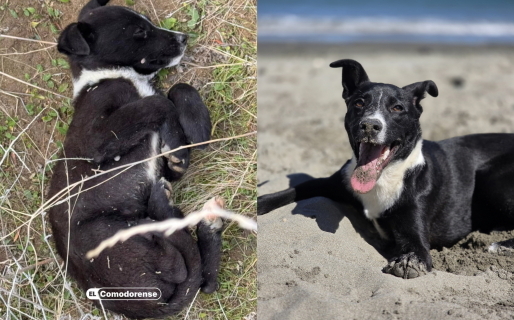 Ramón fue adoptado hace un año y ahora se prepara para viajar con su familia a Brasil