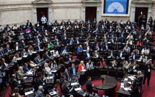 <strong>Diputados: se aprobó el emplazamiento para tratar la prórroga de la Emergencia en Discapacidad</strong>