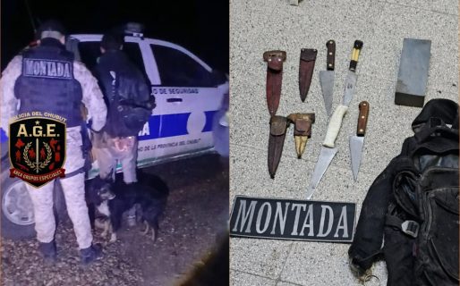 Utilizaban a «Chicho» para arrear animales y fueron descubiertos dentro de un campo