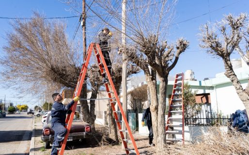 Continúa el mantenimiento integral de espacios verdes en distintos sectores de la ciudad