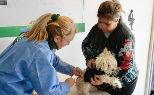 La Dirección General de Veterinaria realizará una jornada de vacunación antirrábica