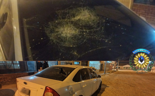 Dañó un Ford Fiesta y fue detenido tras intentar escapar
