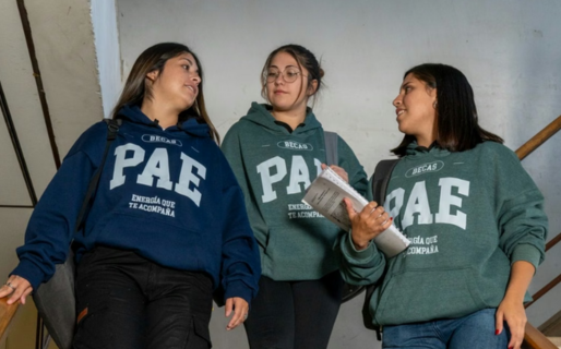 PAE lanzó nuevas becas para estudiantes de Chubut y Santa Cruz