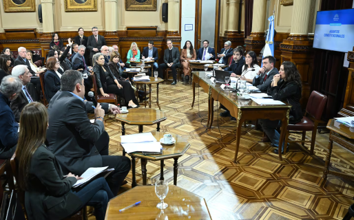 El Gobierno retoma la reforma política en el Senado, pero todavía no tiene los votos para aprobarla