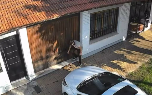 Habló la mamá del adolescente que le pisó la cabeza a un gato: «No sabe por qué reaccionó así»