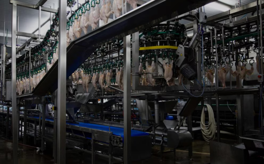 Se agrava la crisis de Granja Tres Arroyos: ofreció pagar parte de los salarios con pollos