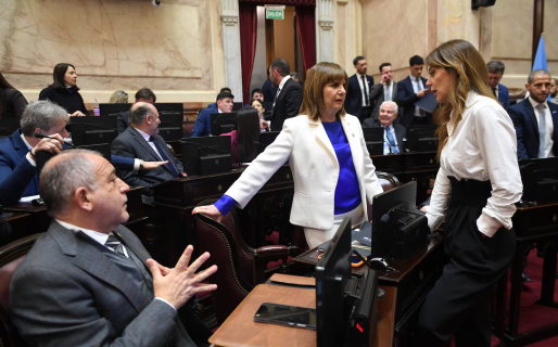 Senado: los aliados pidieron más cambios y el oficialismo no pudo sacar dictamen por el súper-RIGI
