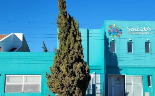 Se realizará un conversatorio gratuito sobre autismo y neurodesarrollo
