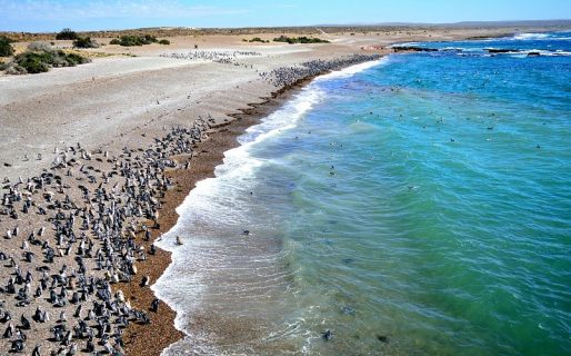Punta Tombo espera el inicio de una nueva temporada con obras y mejoras en sus instalaciones