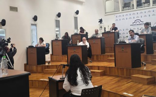 La audiencia pública por Transporte Diadema sumó reclamos por frecuencias, tarifas y cobertura