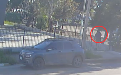 Denuncian que una mujer arrojó un gatito al patio de una vecinal de Ciudadela